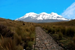 Chimborazo-piedras